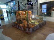 IMG_20200208_132055.jpg