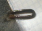 N-013.jpg