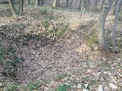 IMG_0651.jpg