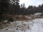 IMG_0658.jpg