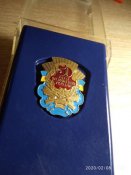 Нагрудный знак "50 років визволення України"