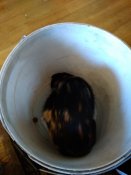 IMG_20200210_115103.jpg