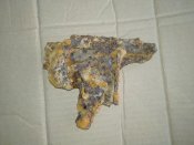 IMG_20200209_165445.jpg