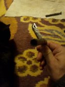 IMG_20200211_174728.jpg