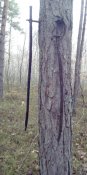 IMG_20200211_142054.jpg
