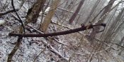 IMG_20200211_101120.jpg