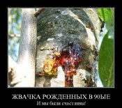 s3img_12398122_9825_0.jpg