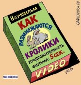 caricavA.jpg