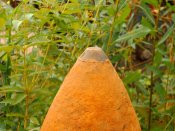 IMAG0440.jpg