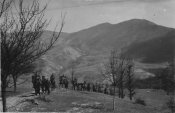 В разъезде, артвзвод, 1943 г..jpg