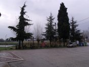 01.03.13_009.jpg