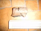 DSCN3862.jpg