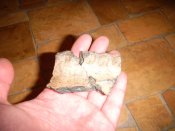 DSCN3867.jpg