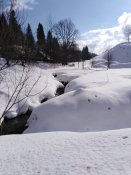 IMG_20200215_141508.jpg