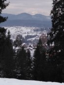 IMG_20200215_170220.jpg