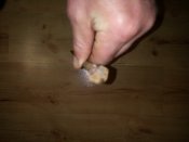 DSC_2730.JPG