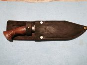 IMG_20200216_184907_319.jpg