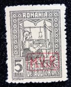 Немецкое военное правление в оккупированной Румынии 1917г.