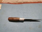 IMG_20200216_193622_765.jpg