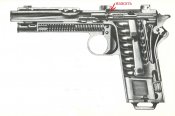 steyr21.jpg