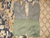 DSCN5206.jpg