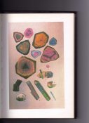 img017.jpg