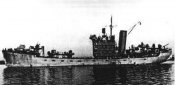 V715.jpg