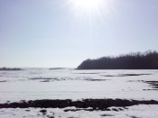 IMG_20200216_121711.jpg