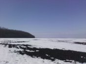 IMG_20200216_121715.jpg