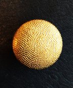 IMG_20200218_160651.jpg