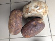 Флягі+манерка.