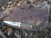 DSCN4805.jpg
