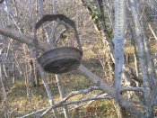 DSCN4816.jpg