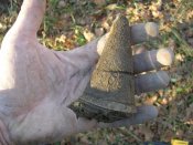 DSCN4817.jpg