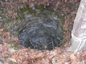 DSCN4821.jpg