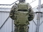 Рюкзак штурмовой Assault I Basic 30 л оливковый от немецкой торговой марки MFH Int. Comp