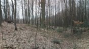IMG_20200219_092906.jpg
