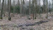 IMG_20200219_123140.jpg