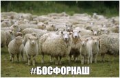 C01AB64D-4C6F-40AF-89CC-6902624A08A5.jpeg