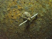 porta piumetto per bersaglieri_009.JPG