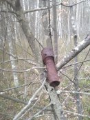 IMG_20200220_131545.jpg