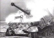 501-01.jpg
