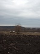 IMG_20200221_160905.jpg