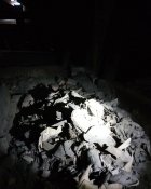 IMG_20200221_221629.jpg