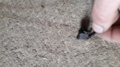 20200217_160606.jpg
