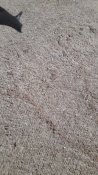 20200217_160728.jpg