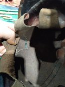 IMG_20200222_092245.jpg