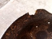 IMG_20200222_125058.jpg