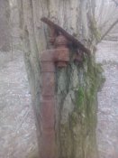 IMG_20200222_144636.jpg