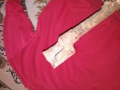IMG_20200222_200159.jpg